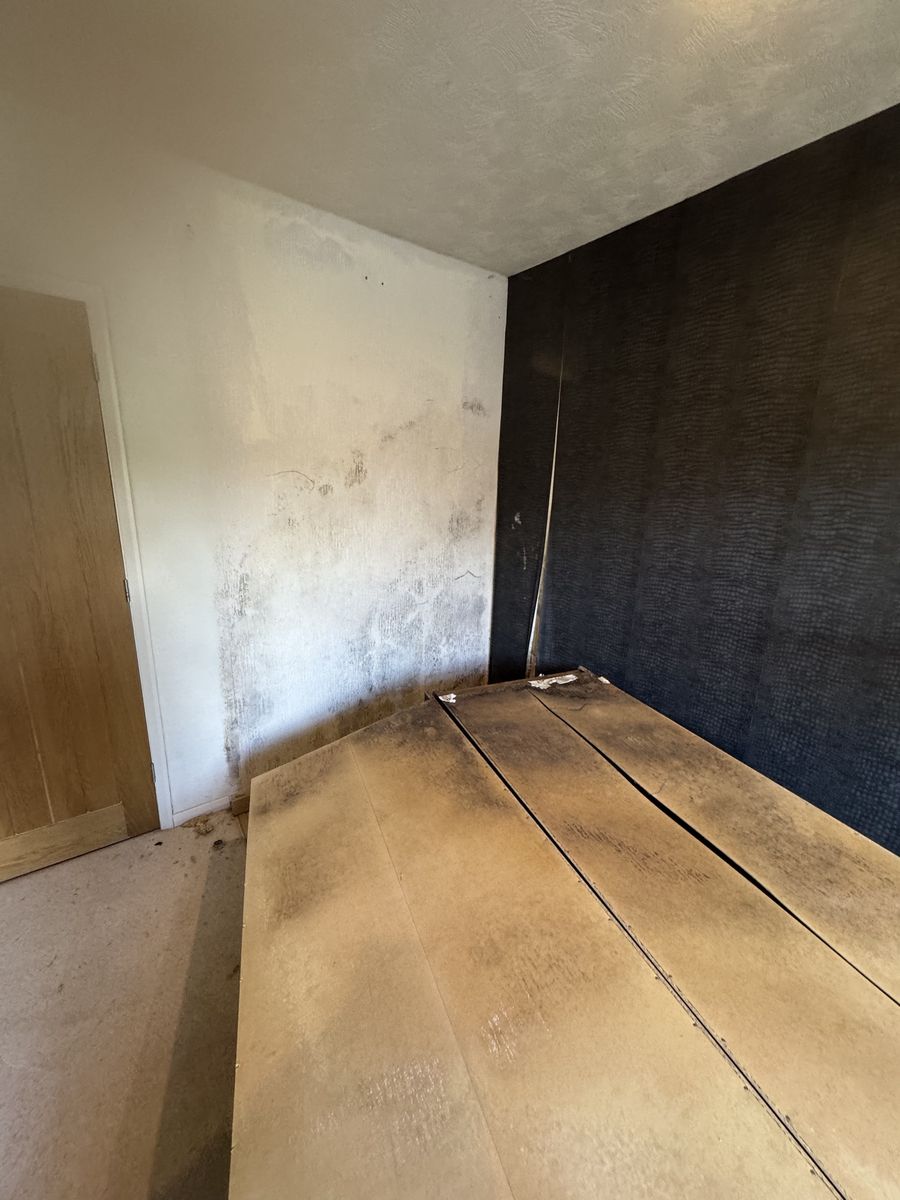 Bedroom wall with damp and mould staining, floorboards exposed